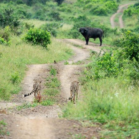 Sungulwane Private Game Lodge هلوهلوي المظهر الخارجي الصورة