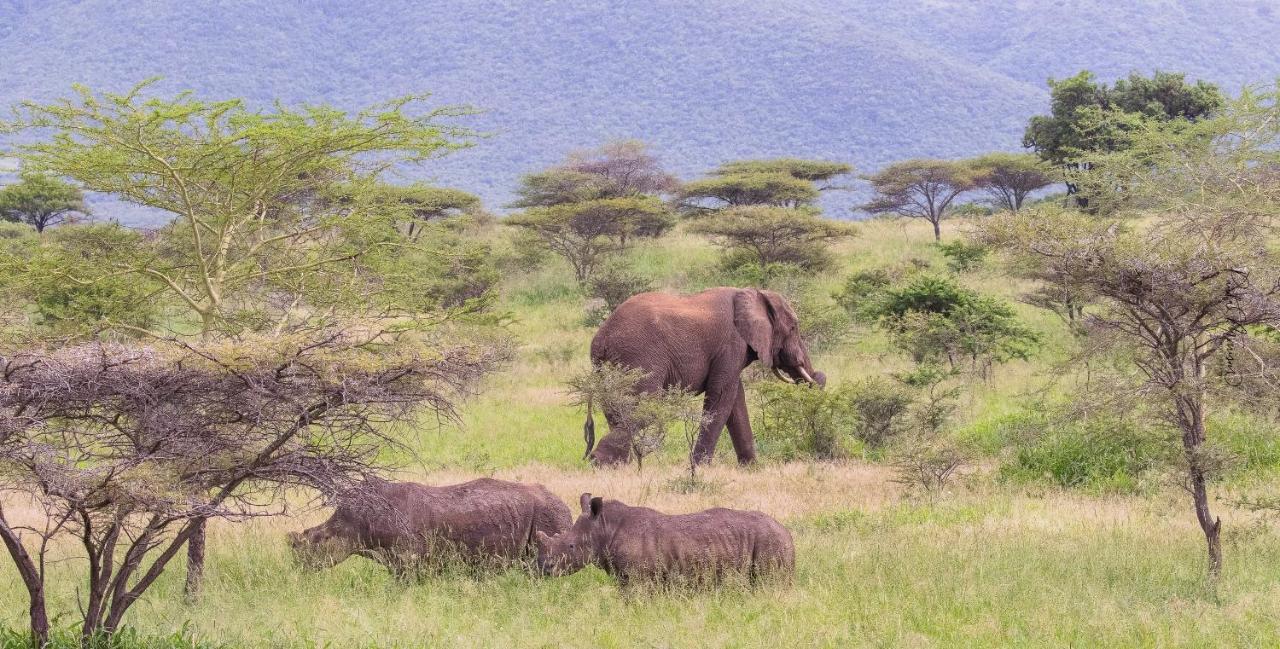 Sungulwane Private Game Lodge هلوهلوي المظهر الخارجي الصورة