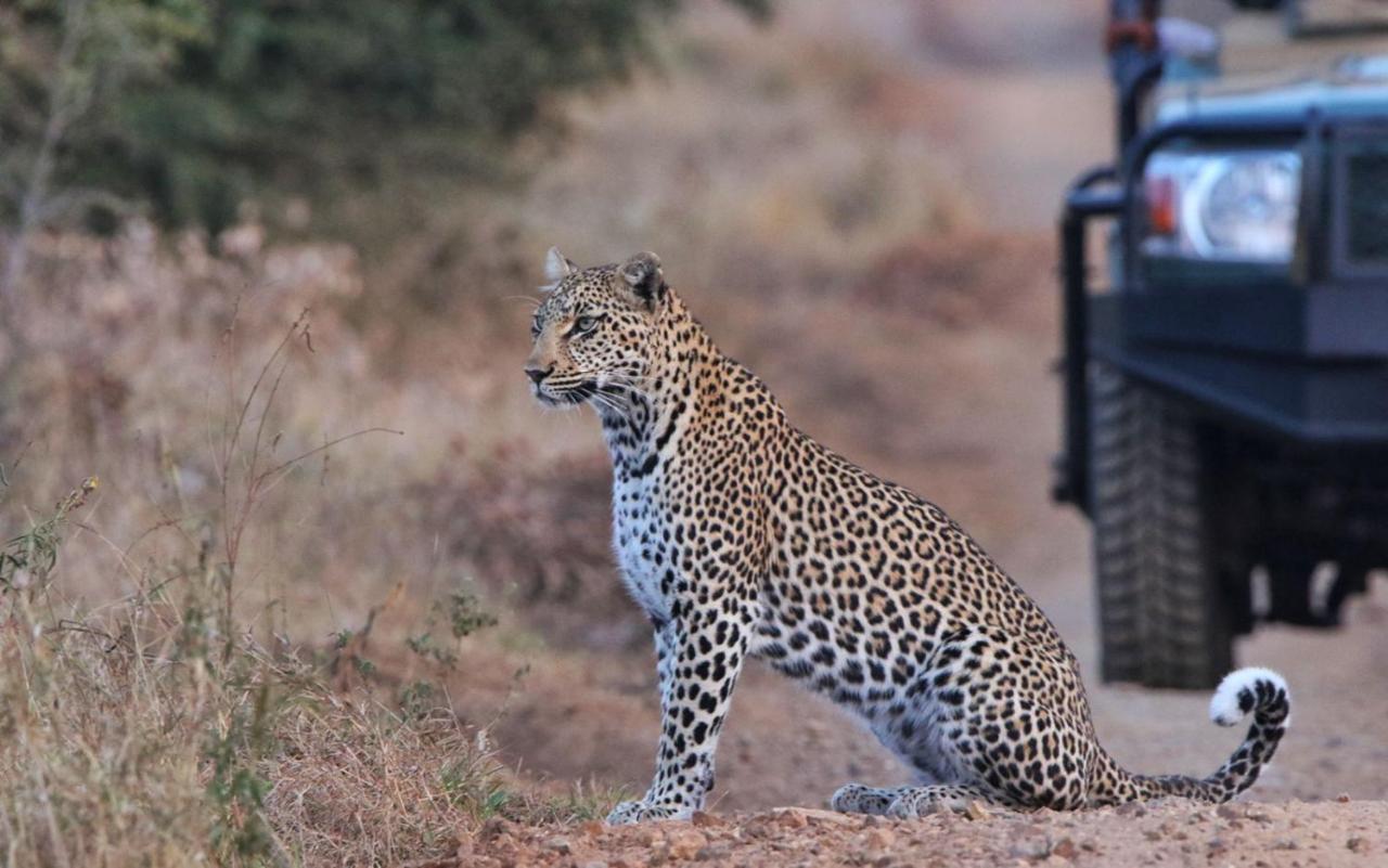 Sungulwane Private Game Lodge هلوهلوي المظهر الخارجي الصورة