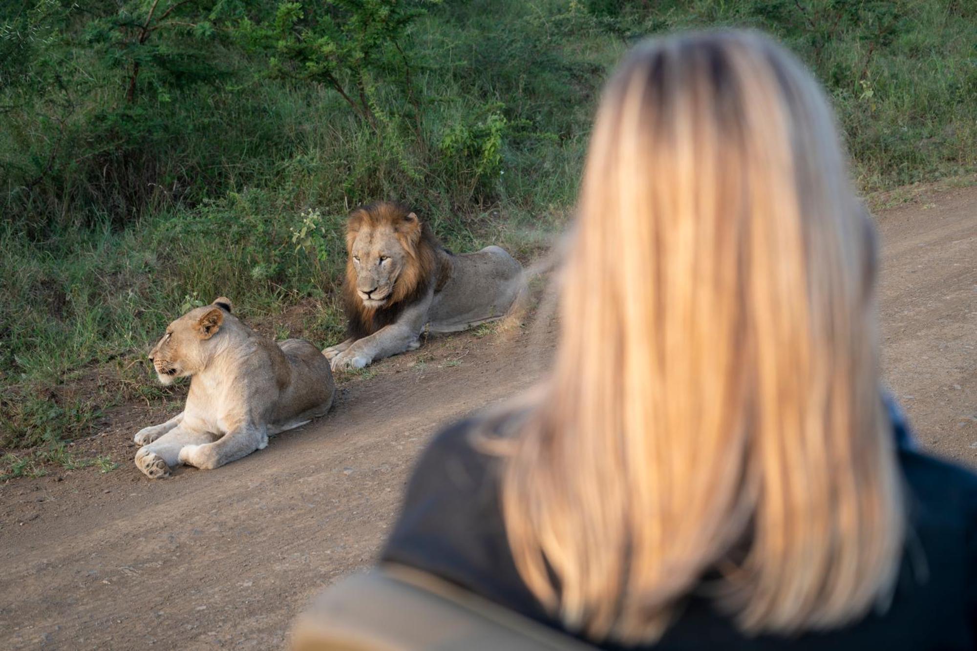 Sungulwane Private Game Lodge هلوهلوي المظهر الخارجي الصورة