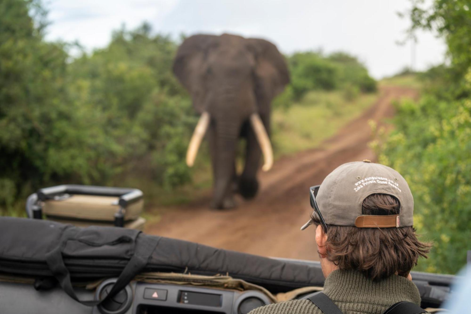 Sungulwane Private Game Lodge هلوهلوي المظهر الخارجي الصورة
