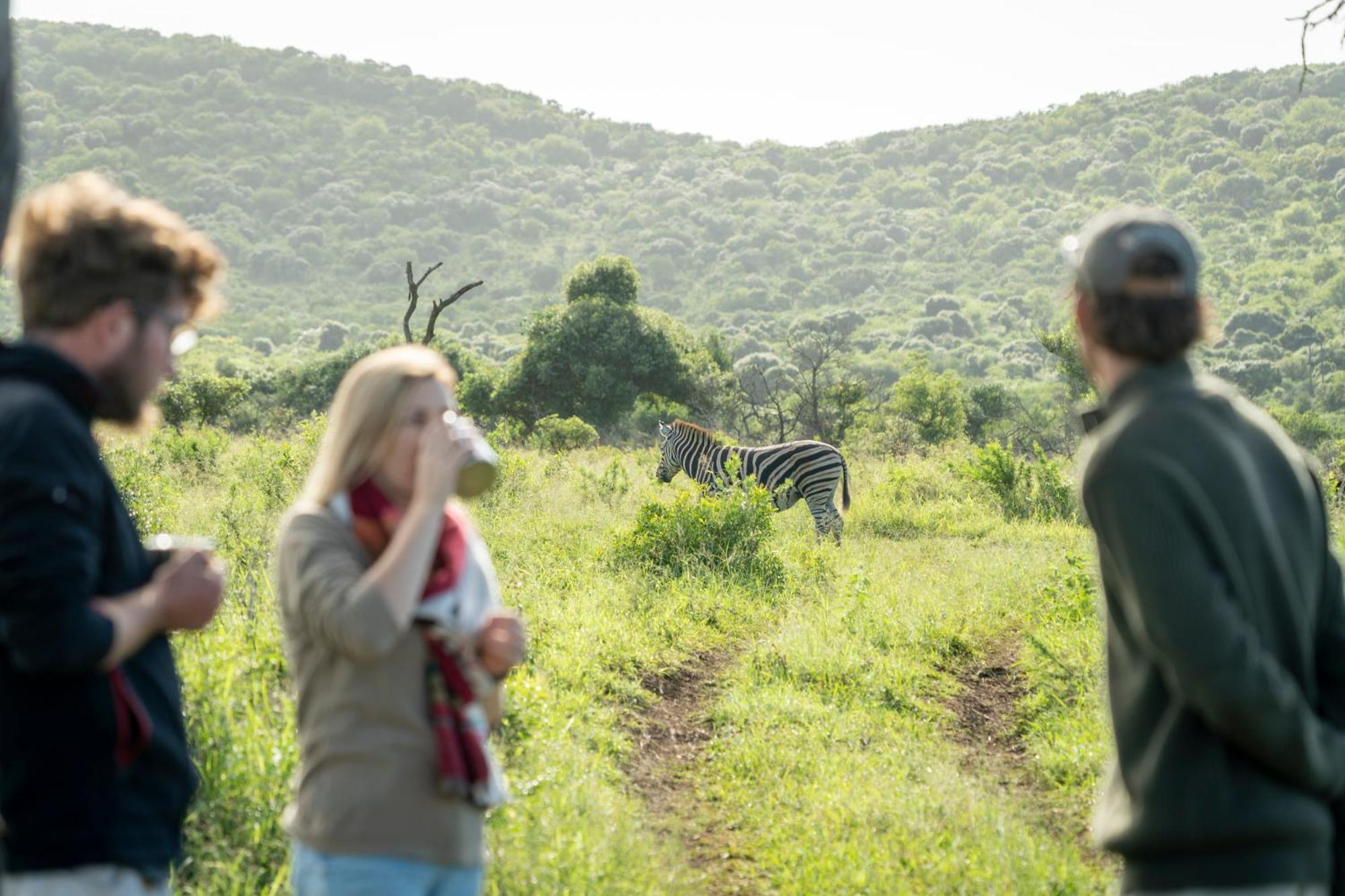 Sungulwane Private Game Lodge هلوهلوي المظهر الخارجي الصورة